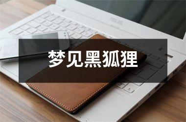 梦见黑狐狸