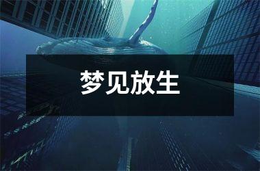 <h3>梦见放生