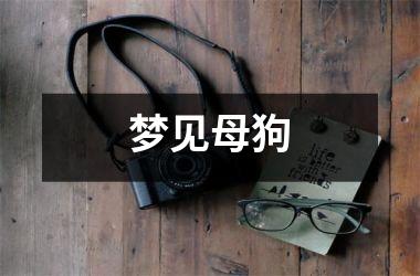 <h3>梦见母狗