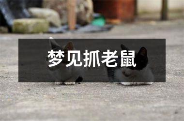 <h3>梦见抓老鼠