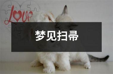 <h3>梦见扫帚