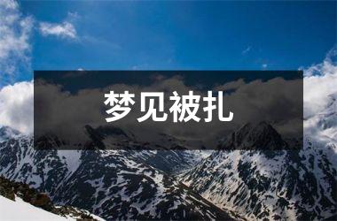 <h3>梦见被扎