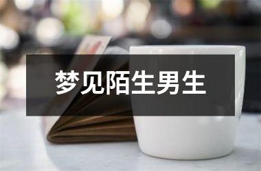 <h3>梦见陌生男生