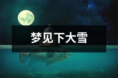 <h3>梦见下大雪
