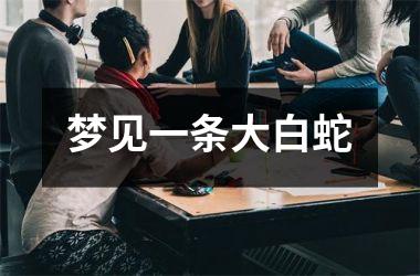 <h3>梦见一条大白蛇