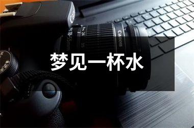 <h3>梦见一杯水