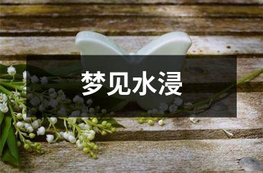 <h3>梦见水浸