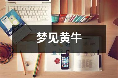 <h3>梦见黄牛