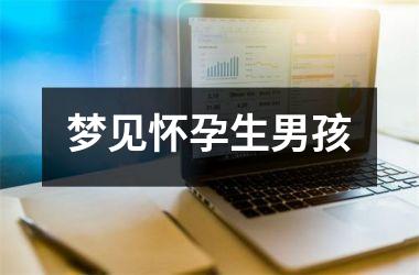 <h3>梦见怀孕生男孩