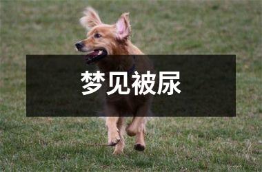 <h3>梦见被尿
