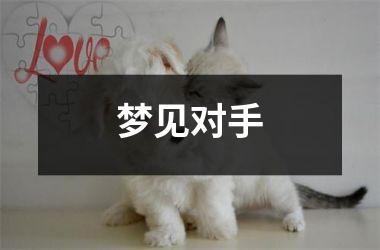 <h3>梦见对手