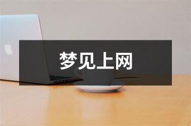 <h3>梦见上网