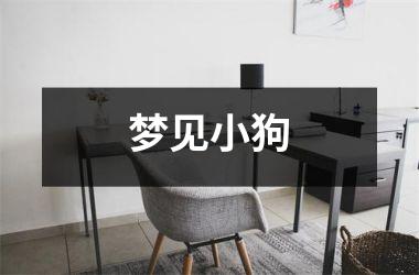 梦见小狗