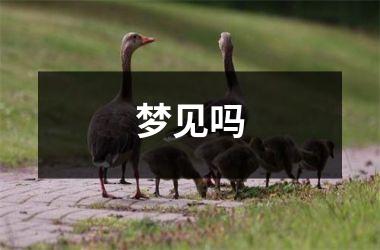 <h3>梦见吗