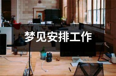 <h3>梦见安排工作