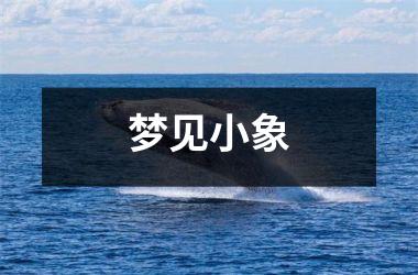 <h3>梦见小象