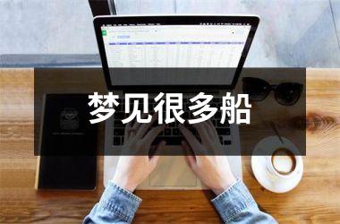 <h3>梦见很多船