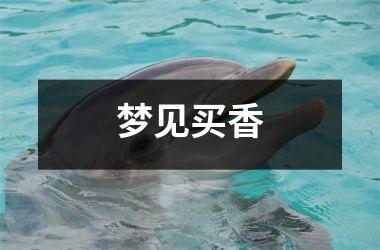 <h3>梦见买香