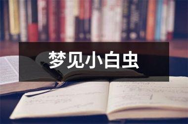<h3>梦见小白虫