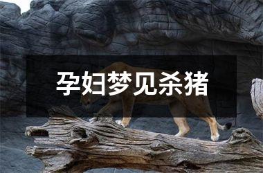<h3>孕妇梦见杀猪