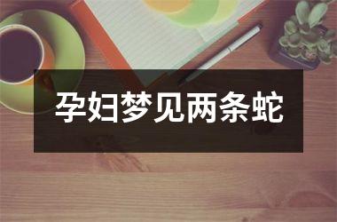 <h3>孕妇梦见两条蛇