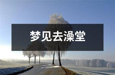 <h3>梦见去澡堂