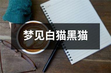 <h3>梦见白猫黑猫