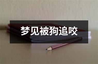 <h3>梦见被狗追咬