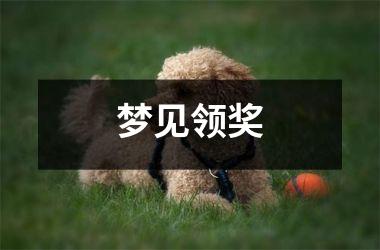 <h3>梦见领奖
