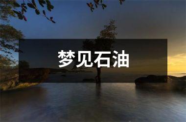 <h3>梦见石油