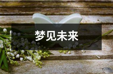 梦见未来