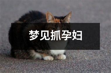 <h3>梦见抓孕妇