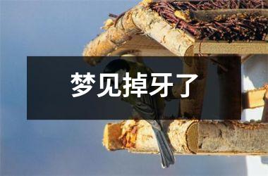 <h3>梦见掉牙了
