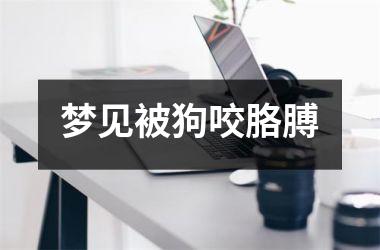 <h3>梦见被狗咬胳膊