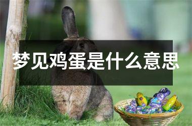 <h3>梦见鸡蛋是什么意思