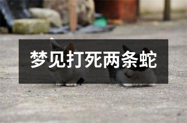 梦见打死两条蛇