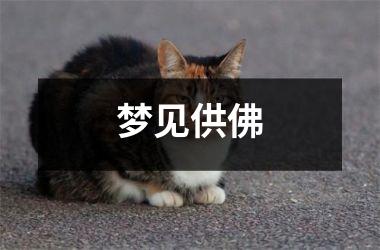 <h3>梦见供佛