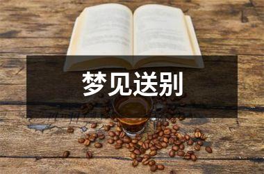 <h3>梦见送别