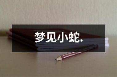 <h3>梦见小蛇.