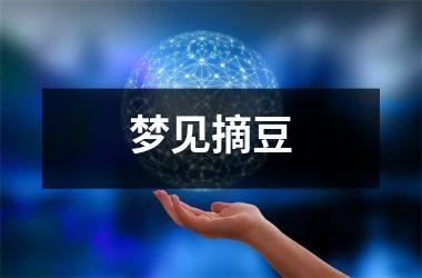 <h3>梦见摘豆