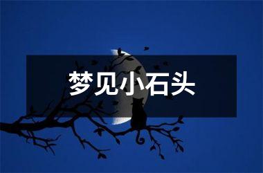 <h3>梦见小石头