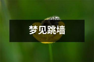 <h3>梦见跳墙