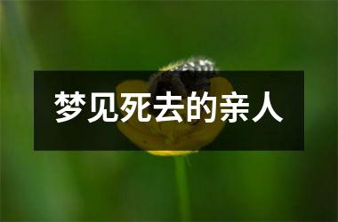 <h3>梦见死去的亲人