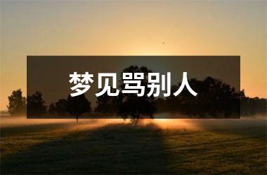 <h3>梦见骂别人