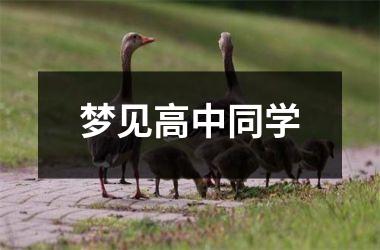 <h3>梦见高中同学