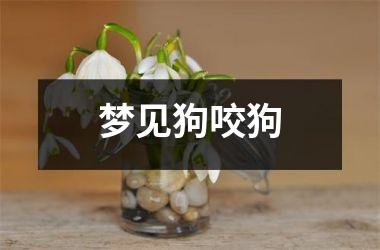 <h3>梦见狗咬狗