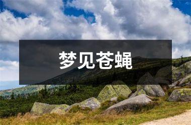 <h3>梦见苍蝇