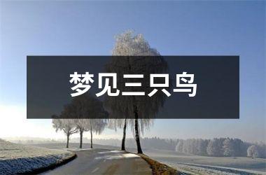 <h3>梦见三只鸟