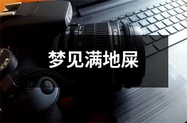 <h3>梦见满地屎