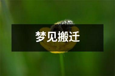 <h3>梦见搬迁